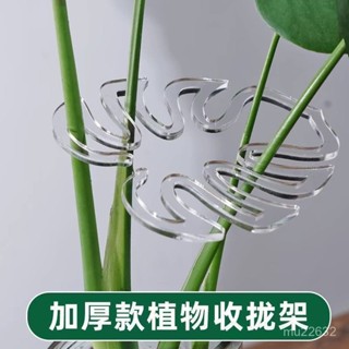 🌿植物矯形🌿新款植物支撐桿 DIY植物支架 自由組裝 植物支撐架 盆栽支架 爬藤支架 龜背竹支撐桿花支撐架綠植固定架