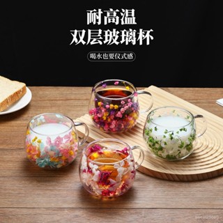 🔥熱賣精品🔥創意雙層乾花杯小圓趣喝水杯帶把手爆款咖啡杯高顏值牛奶杯玻璃杯 咖啡杯 美式拿鐵杯子 冷萃杯 網紅杯 奶茶