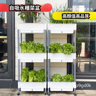 【好運嚴選】陽臺種植神器 多層種菜架 自吸水栽培箱 雙層種植箱 陽臺懶人蔬菜陽臺草莓 多層種菜盆 種菜專用盆 雙層種植箱