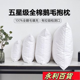 蝦皮熱賣💕白鵝毛抱枕芯羽絨羽毛靠墊酒店沙髮靠背腰墊辦公室大靠枕床頭靠墊 07YS