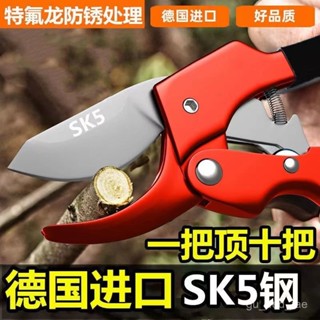 ✨限時優惠✨ 德國進口SK5鋼粗枝剪果樹剪刀花枝園林剪省力枝條修剪刀果枝剪刀 8P81