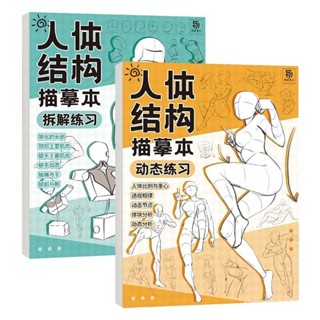 🎈廠商直出【官方正品】人體結構描摹本套裝 Q版結構動態漫畵臨摹本 漫畵手繪綫稿練習冊