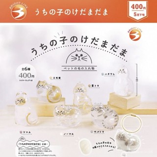 【桃園出貨】日本BRIGHT LINK 透明貓毛收納盒吊飾扭蛋 貓咪毛整體衣櫃