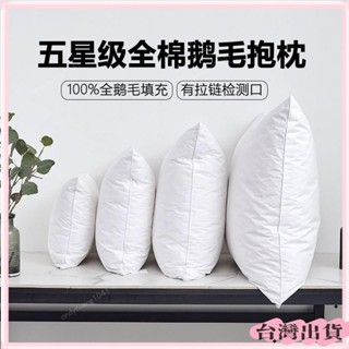 桃園快速🚚白鵝毛抱枕芯羽絨羽毛靠墊酒店沙髮靠背腰墊辦公室大靠枕床頭靠墊 07YSW6/11