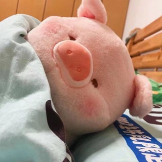 盲盒公仔 飽脹豬豬 衕冰相憐 生日禮物 玩具擺件 lulu豬公仔麵包吐司小豬仔超軟玩偶可愛貪吃豬公仔兒童生日禮物
