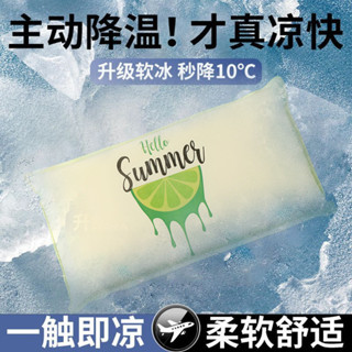 ✨桃園出貨✨ 枕頭 午睡枕 冰涼枕 冰枕頭 成人 學生 水枕頭 註水水枕 夏天學生降溫 冰涼大人冰枕 冰墊水袋