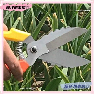 桃園出貨🦋家用修枝剪 園林工具 園藝剪大蒜剪刀專用剪蒜根剪蒜頭剪大蒜剪蒜胡農用大蔥生薑洋蔥專用剪子2.22Q