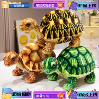 桃園熱賣 模擬野生動物玩偶 小烏龜玩偶公仔 輻射陸龜布娃娃 寶寶爬行認知毛絨玩具 沙發抱枕 兒童生日禮物