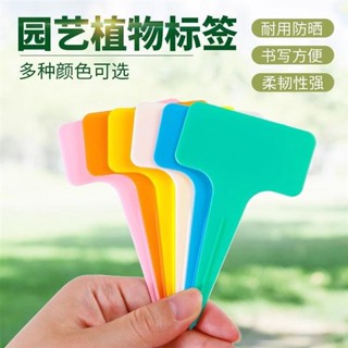 【桃園出貨】免運 園藝標籤牌T型多肉植物花卉插地牌塑膠防水園藝苗木定製花盆標識