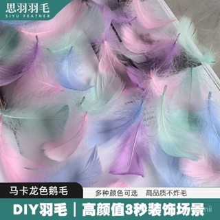 桃園出貨💕馬卡龍羽毛diy材料禮盒填充手工創意彩色拍照道具生日伴手禮裝飾