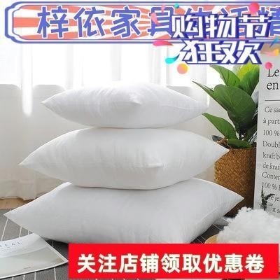 免運🔥梓依家居精品館🔥45*45cm抱枕內芯可水洗磨毛布面料內填充物PP棉高彈性優質枕芯400g