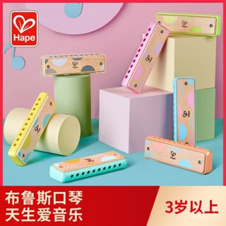 【臺灣出貨】口琴 Hape兒童吹奏口琴嬰幼兒音樂初學寶寶幼兒口風琴木質樂器玩具禮物 好保養 新手神琴 精品樂器