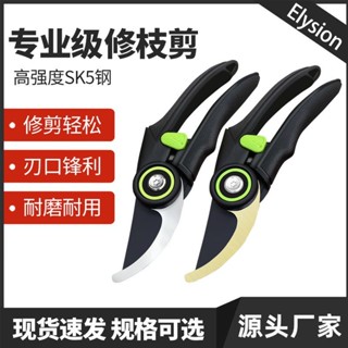 園藝剪 修樹枝剪刀 樹枝剪刀 園藝剪刀 花藝剪刀 修花剪刀 果樹剪 果樹修剪刀園林修剪樹枝專用剪子省力園藝修花枝花藝剪刀