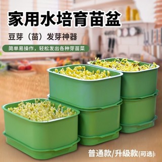 育苗盤種植發芽盆 家用種植箱 發豆芽專用盆 水培豆芽神器 綠豆黃豆芽苗菜罐 免換水豆芽機 YXB0