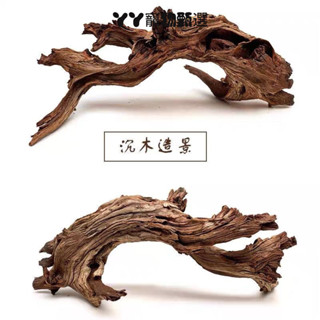 免運 攀爬木 造景木 爬寵攀爬木 枯木造景 天然枯木 沉木 霸王藤木 守宮 蜥蜴 【1129人收藏】爬寵攀爬木鬃獅蜥曬臺