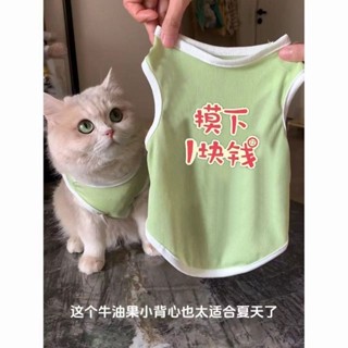 天天上新|柔軟寵物春夏季薄款背心裝泰迪比熊雪納瑞貓咪狗狗小型犬衣服夏天