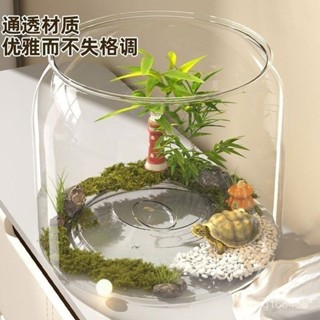 🔥臺灣出貨🔥烏龜飼養缸家用養龜專用缸生態造景龜缸魚缸桌麵微景缸桌麵收納盒