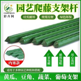 【工廠熱銷】花架 爬藤支架 爬藤架 植物支撐杆 植物支撐桿 花盆支架鐵線包塑鋼管番茄瓜果固定支撐架