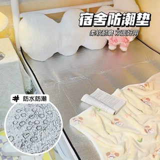 桃園發貨【3838人收藏】防潮墊野餐墊子雙麵鋁膜加厚防潮墊戶外便攜帳篷地墊子野外露營墊