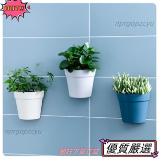 🌈限時促銷 壁掛式塑膠盆栽花器 植物花盆 創意墻壁陽臺室內墻上盆景 半圓形小花盆水培花盆 綠蘿多肉花器43