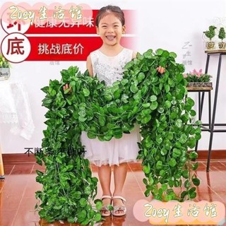 臺灣出貨*220公分模擬綠蘿 人造常春藤葉 壁掛裝飾 植物藤條藤蔓 管道裝飾塑膠花假花藤條假樹葉藤 Zoey生活館 推薦
