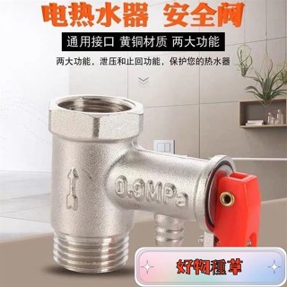 🌸桃園出貨🌸全銅加厚電熱水器減壓安全閥配件安全閥止迴閥洩壓閥排氣閥配件
