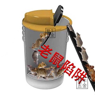【雙牛五金】臺灣🔥年最新款老鼠陷阱 自動復位捕鼠蹺蹺板 捕鼠器 捕鼠神器 室內捕鼠神器 室外捕鼠神器 抓老鼠神器連續
