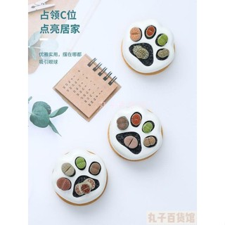 丸子 多肉花盆 多肉盆器 多肉送禮 陶瓷花盆 貓爪樹梢竹架盆栽花架 INS陶瓷貓爪 組合盆栽花盆