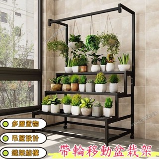 含運 下殺 花架 鐵藝花架 陽臺置物架 花盆展示架 客廳多層落地階梯式室內戶外盆栽室外 多肉架子 盆栽多層花架