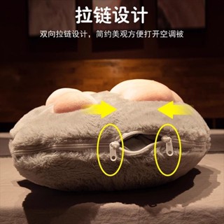 ❤️桃園出貨 現時特賣✨【1.5萬人收藏】卡通車載抱枕被子兩用辦公室午睡枕頭空調毯子二合一午休汽車靠枕