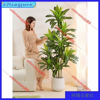 梓楊企業社🛒模擬裝飾花 仿真植物 模擬綠植 巴西木盆栽 北歐仿生 假樹 植物 巴西鐵 室內 客廳 落地擺件 裝飾