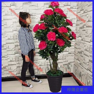梓楊企業社🛒造景 裝飾花 假樹髮財樹鴻運紅掌蝴蝶蘭仿真植物落地盆栽大型客廳盆景塑膠花樹 MLVP
