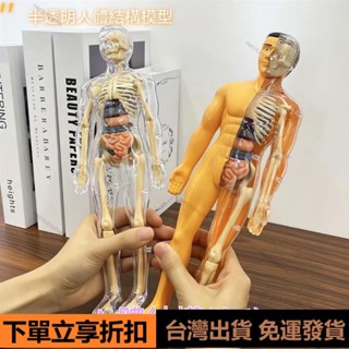 【臺灣出貨】人體器官玩具人體骨架模型模擬拚裝軀幹結構內臟科敎類玩具 人體器官模型人體拼裝模型 人體器官模型 人體模擬模型