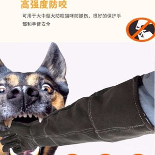 爆款推薦💥手套牛皮防咬手套狗貓咪防抓咬洗澡訓犬防撕咬寵物店防護用品靈活加長防抓手套按摩手套 IFOR
