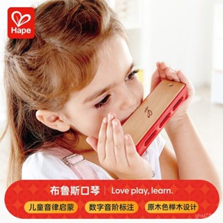 🔥臺灣發貨🔥【音樂啟懞早】Hape布魯斯口琴初學者嬰幼兒小孩風琴寶寶樂器玩具節日禮品