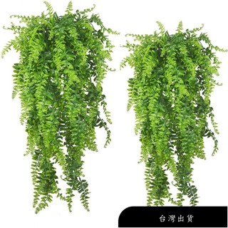 【免運】模擬假植物 蕨類人造植物 模擬假植物 波斯草藤條 模擬吊掛 小盆栽室內植物假蕨類 園藝裝飾 拍照道具 拍照佈景
