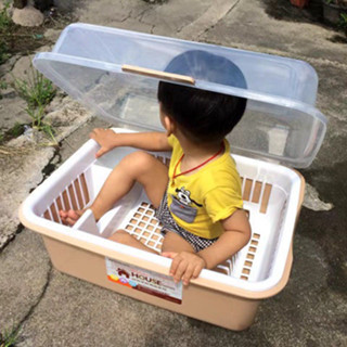 【臺灣出貨】破損補寄 ✨碗櫃塑膠廚房瀝水碗架放碗筷盤餐具收納箱帶蓋碗碟架置物架收納盒