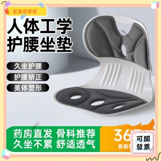 💫桃園+可開發票💫護腰坐墊一體式 久坐不累 矯正骨盆支撐 辦公室學生黨必備💫桃園出貨💫