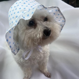💥臺灣出貨💥寵物帽子 狗狗帽子 貓咪帽子 狗帽 犬帽 小狗帽子 韓版糖果色純棉格子夏季寵物狗狗貓咪防曬帽防掉不粘毛