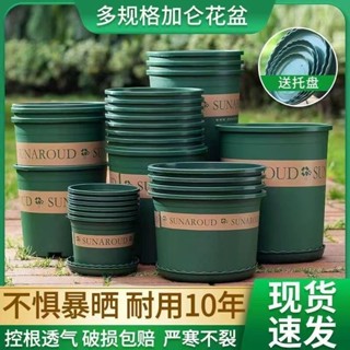 桃園快速🚚 加侖花盆2025新款高檔塑膠樹脂多肉小綠蘿大加侖盆第三代二代樹脂