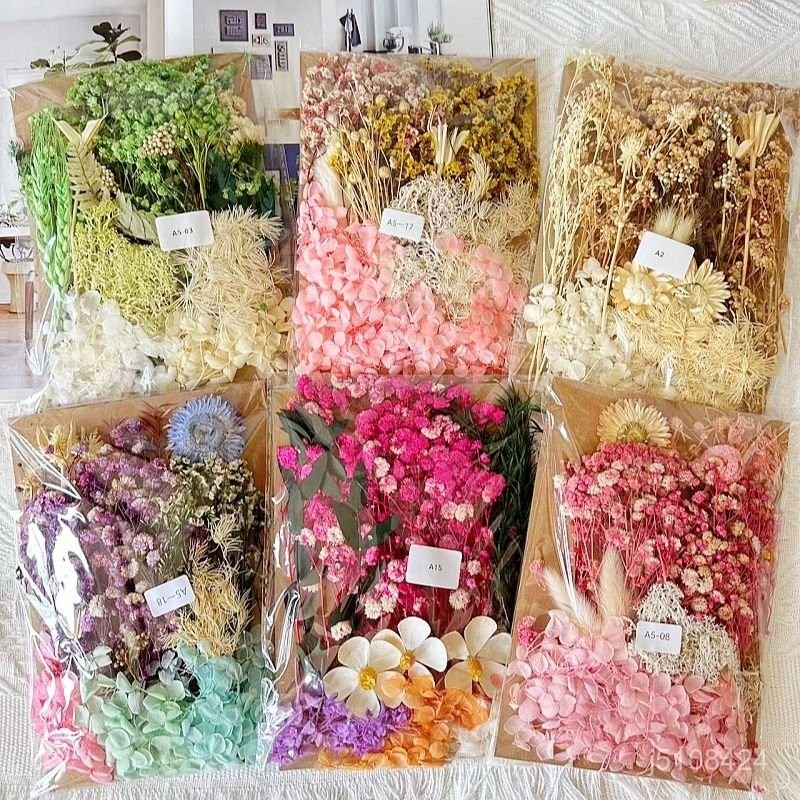 🌹熱賣🌹乾花材料包 永生花畫團扇 賀卡 手工乾花 小花束 天然真花滴膠 材料風乾花  永生花 乾燥花素材 網紅拍照  Y