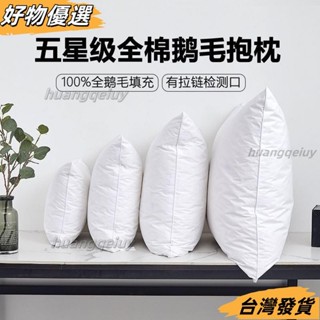 ❤桃園出貨❤限時白鵝毛抱枕芯羽絨羽毛靠墊酒店沙靠背腰墊辦公室大靠枕床頭靠墊 07YS
