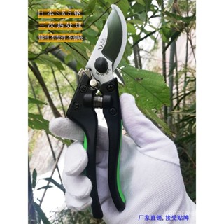 ✨ 星星百貨 日本SK5鋼省力果樹修枝剪 園林園藝剪刀園林五金工具多功能粗枝剪 AEVN