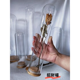 玻璃罩 永生花玻璃罩 禮物玻璃罩 擺件玻璃罩 假花玻璃罩 加長軟木塞加高細長玻璃罩玫瑰乾花收納擺件 diy竹底玻璃瓶子