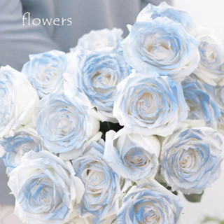 [💗臺灣🧡出貨💫]碎冰藍玫瑰ins帶刺的玫瑰仿真花高檔漸變色保濕花家居裝飾禮物602