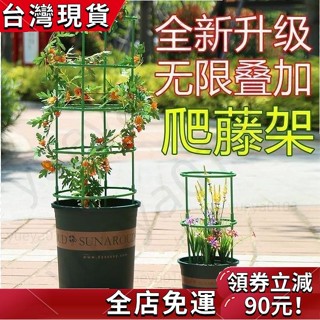 【限時折扣】爬藤架 盆栽支撐架 植物支架 植物支撐桿 盆栽支撐架 盆栽支架 爬藤支架 花盆支架 蘭花支架 園藝支架