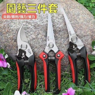 進口SK5不銹鋼園藝剪刀 修枝剪 樹枝剪 防鏽修枝 剪果枝剪 採果剪刀 花枝剪刀 剪樹枝專用 農用花藝剪 園藝修枝器