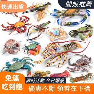 【桃園發貨】實心模擬螃蟹模型 海洋動物玩具生物世界龍蝦梭子蟹帝王蟹兒童認知擺件禮物
