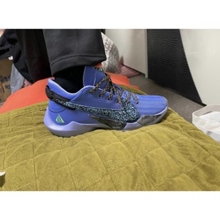 NIKE ZOOM FREAK 2 "PLAY FOR THE FUTURE" CK5424-500 運動休閒鞋 男女鞋