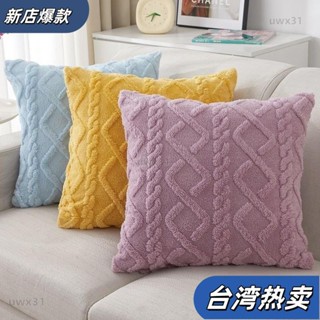 ⭐新店開張⭐ins風抱枕 純色雙麵毛絨靠枕 抱枕 抱枕套 50x50客廳沙髮正方形絨靠床頭靠枕加厚汽車飄窗靠背 C556